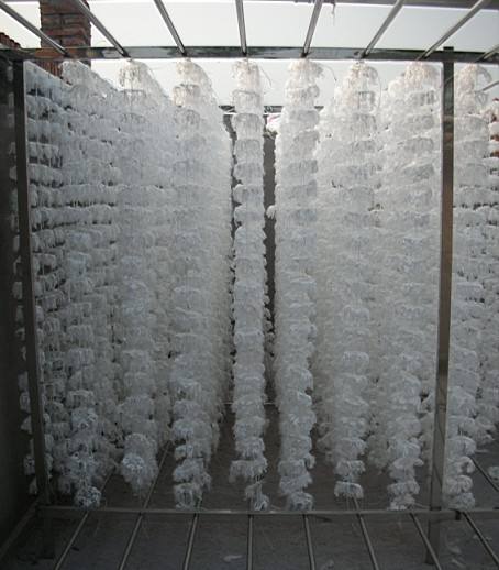 生物填料的這些特點(diǎn)，知道的人不多！